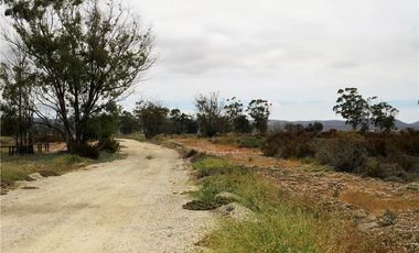 TONGOY IV REGION, HUMEDAL,VENTA DE TERRENOS