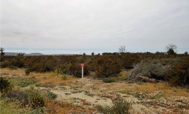 TONGOY IV REGION, HUMEDAL,VENTA DE TERRENOS