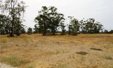 TONGOY IV REGION, HUMEDAL,VENTA DE TERRENOS