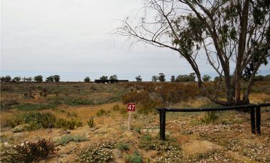 TONGOY IV REGION, HUMEDAL,VENTA DE TERRENOS