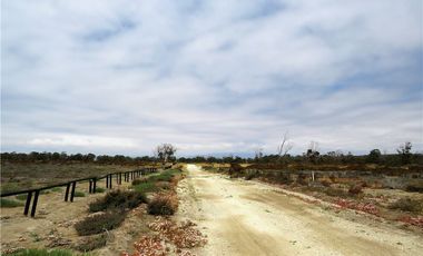 TONGOY IV REGION, HUMEDAL,VENTA DE TERRENOS
