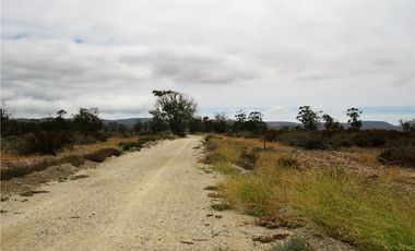 TONGOY IV REGION, HUMEDAL,VENTA DE TERRENOS