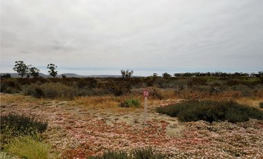 TONGOY IV REGION, HUMEDAL,VENTA DE TERRENOS