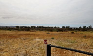 TONGOY IV REGION, HUMEDAL,VENTA DE TERRENOS