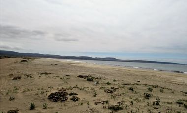 TONGOY IV REGION, HUMEDAL,VENTA DE TERRENOS
