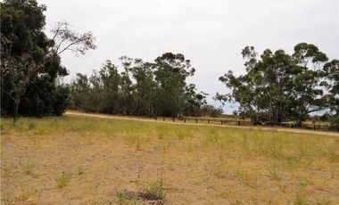 TONGOY IV REGION, HUMEDAL,VENTA DE TERRENOS