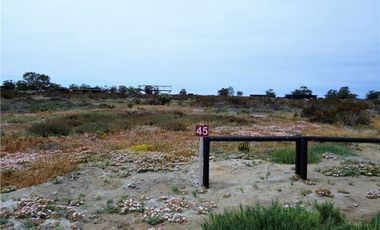 TONGOY IV REGION, HUMEDAL,VENTA DE TERRENOS