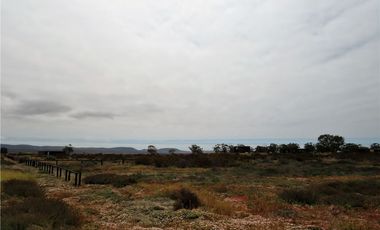 TONGOY IV REGION, HUMEDAL,VENTA DE TERRENOS