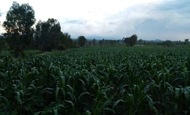 Terreno en VENTA en Polotitlán Estado de México