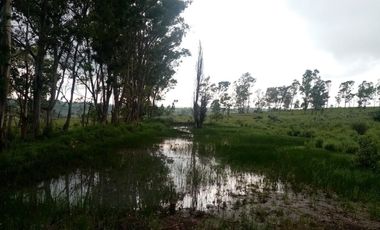 Terreno en VENTA en Polotitlán Estado de México