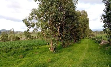 Terreno en VENTA en Polotitlán Estado de México