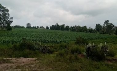 Terreno en VENTA en Polotitlán Estado de México
