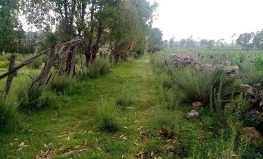 Terreno en VENTA en Polotitlán Estado de México