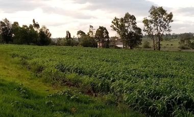 Terreno en VENTA en Polotitlán Estado de México