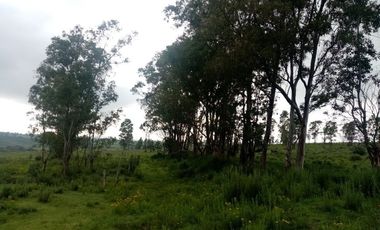 Terreno en VENTA en Polotitlán Estado de México