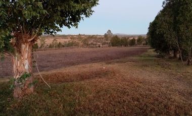 Terreno en VENTA en Polotitlán Estado de México
