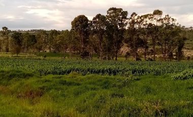 Terreno en VENTA en Polotitlán Estado de México