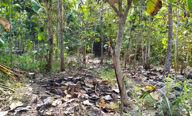 Rumah Bagus Banget Konsep Minimalis Area Wates