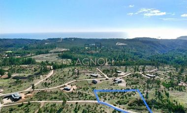 Sitio en Venta en La Polcura