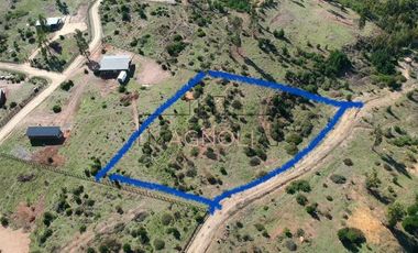 Sitio en Venta en La Polcura