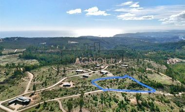 Sitio en Venta en La Polcura