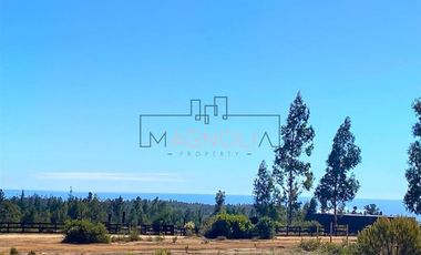 Sitio en Venta en La Polcura