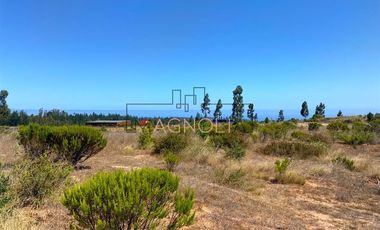 Sitio en Venta en La Polcura