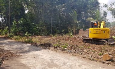 Utara Pasar Gawok, Tanah Murah Trosemi