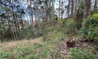 Lote Comercial en la Via al Aeropuerto cerca al Hospital San Vicente