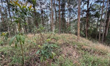 Lote Comercial en la Via al Aeropuerto cerca al Hospital San Vicente