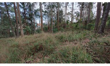 Lote Comercial en la Via al Aeropuerto cerca al Hospital San Vicente