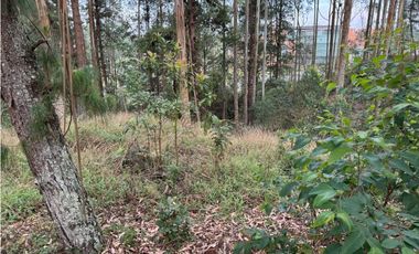 Lote Comercial en la Via al Aeropuerto cerca al Hospital San Vicente