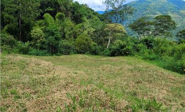 VENTA LOTE TITIRIBI SUROESTE ANTIQUEÑO