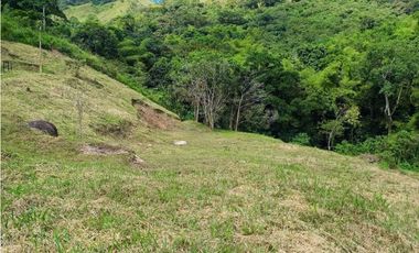 VENTA LOTE TITIRIBI SUROESTE ANTIQUEÑO