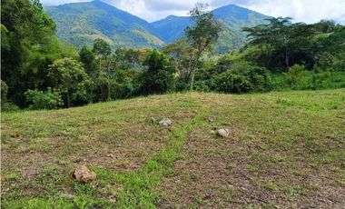 VENTA LOTE TITIRIBI SUROESTE ANTIQUEÑO