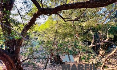 Terrenos Residenciales en Venta al Norte de Villa de Álvarez, Colima