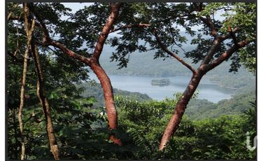 Terreno en Venta,  Presa Cajón de Peña (La Presa), Tomatlán, Jalisco