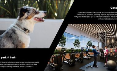 Renta departamento THE OAKS Bosque real