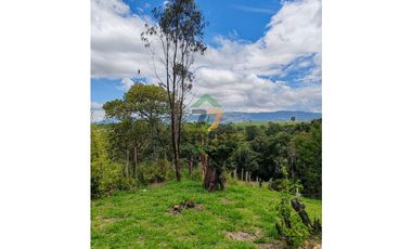 Parcela en la Venta de Cajibío