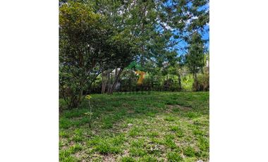 Parcela en la Venta de Cajibío