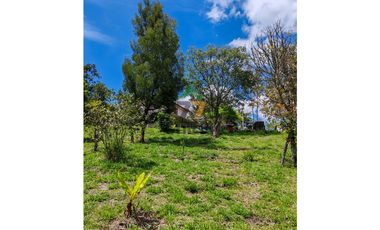 Parcela en la Venta de Cajibío