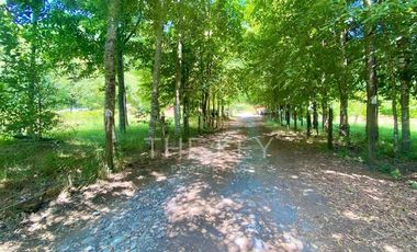 Parcela en Venta en Camino Villarrica - Lican Ray