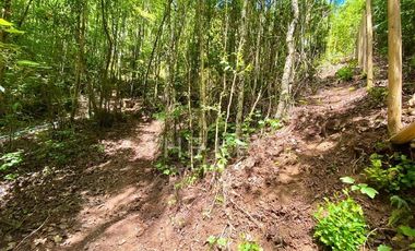 Parcela en Venta en Camino Villarrica - Lican Ray