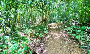 Parcela en Venta en Camino Villarrica - Lican Ray