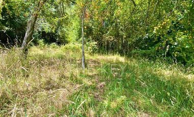 Parcela en Venta en Camino Villarrica - Lican Ray