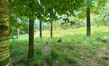 Parcela en Venta en Camino Villarrica - Lican Ray