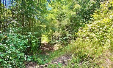 Parcela en Venta en Camino Villarrica - Lican Ray