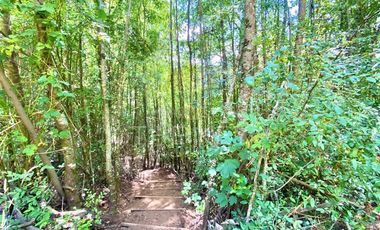 Parcela en Venta en Camino Villarrica - Lican Ray