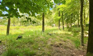 Parcela en Venta en Camino Villarrica - Lican Ray