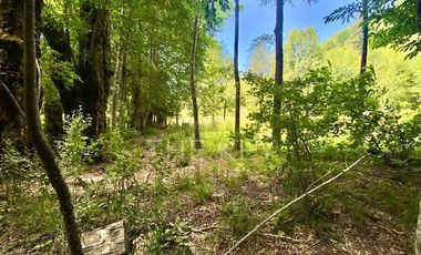 Parcela en Venta en Camino Villarrica - Lican Ray